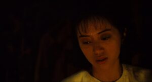 Rogue 1987