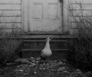 THE LIGHTHOUSE (2019)