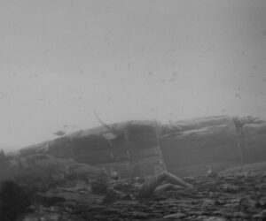 The_Lighthouse_065
