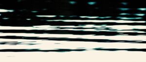 edenlake001