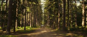 edenlake012
