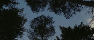 edenlake058