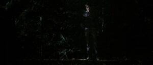 edenlake060